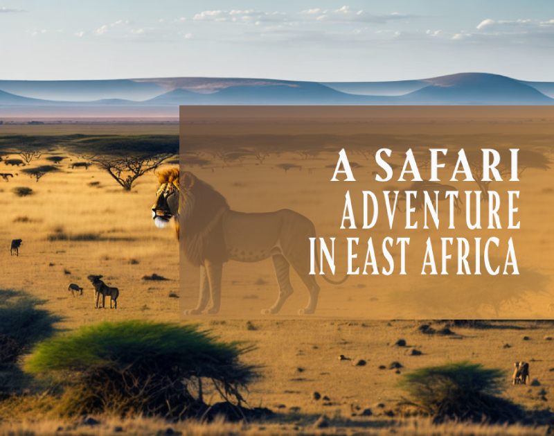 A Safari Adventure in East Africa