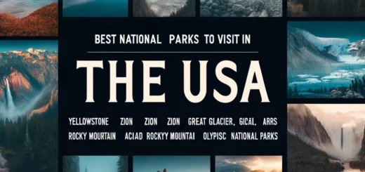 Best National Parks to Visit in the USA This Year
